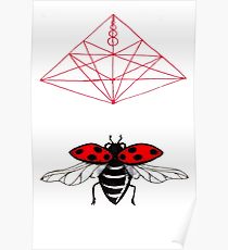 210x230 Ladybird Drawing Posters Redbubble