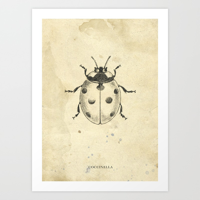 700x700 Ladybird Pencil Drawing Art Print By Hedera Society6