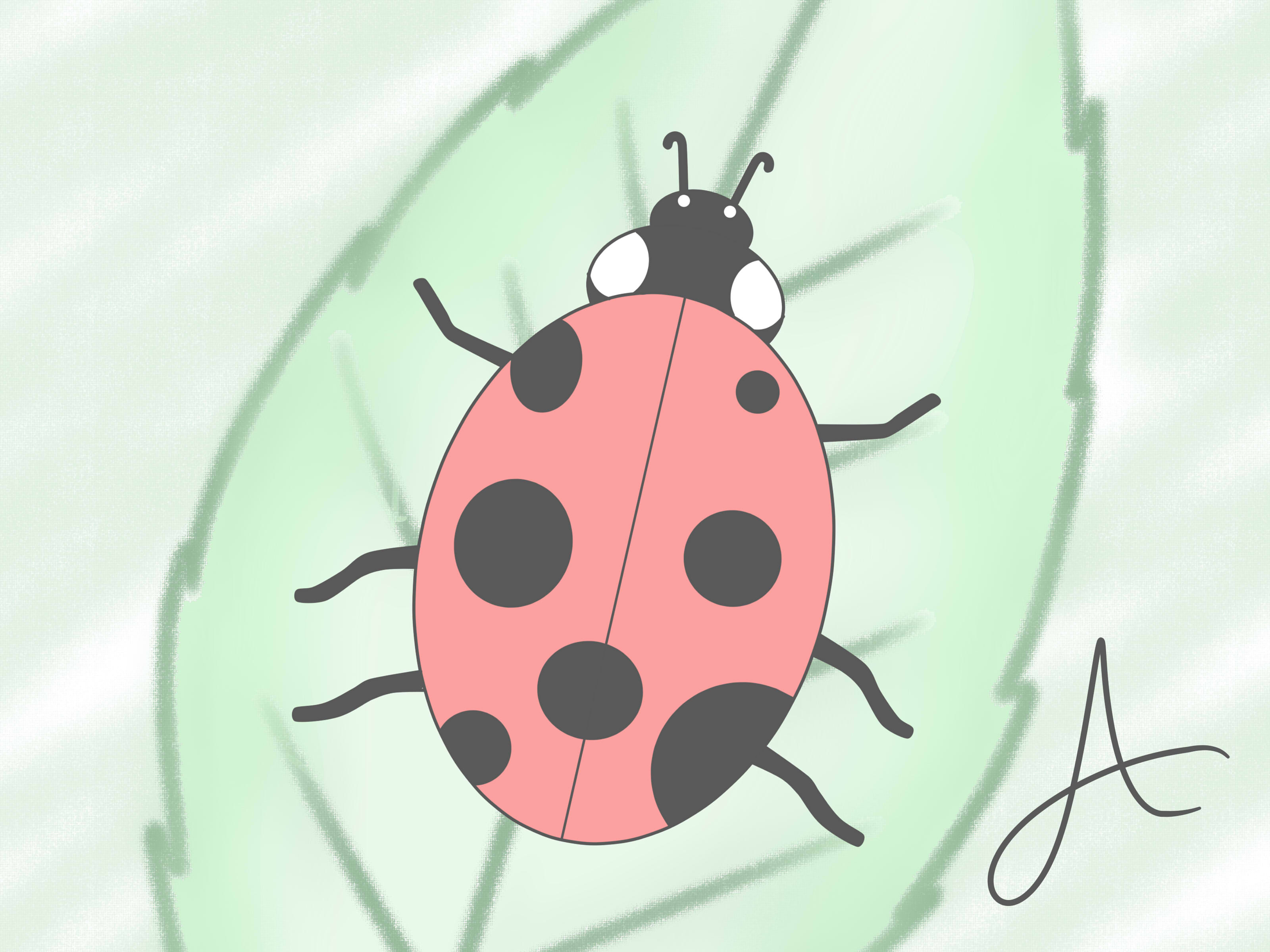 3200x2400 How To Draw A Ladybird 8 Steps (With Pictures)