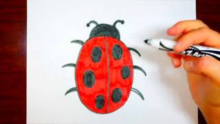320x180 How To Draw A Ladybug! Easy Cartoon Lady Bug Tutorial