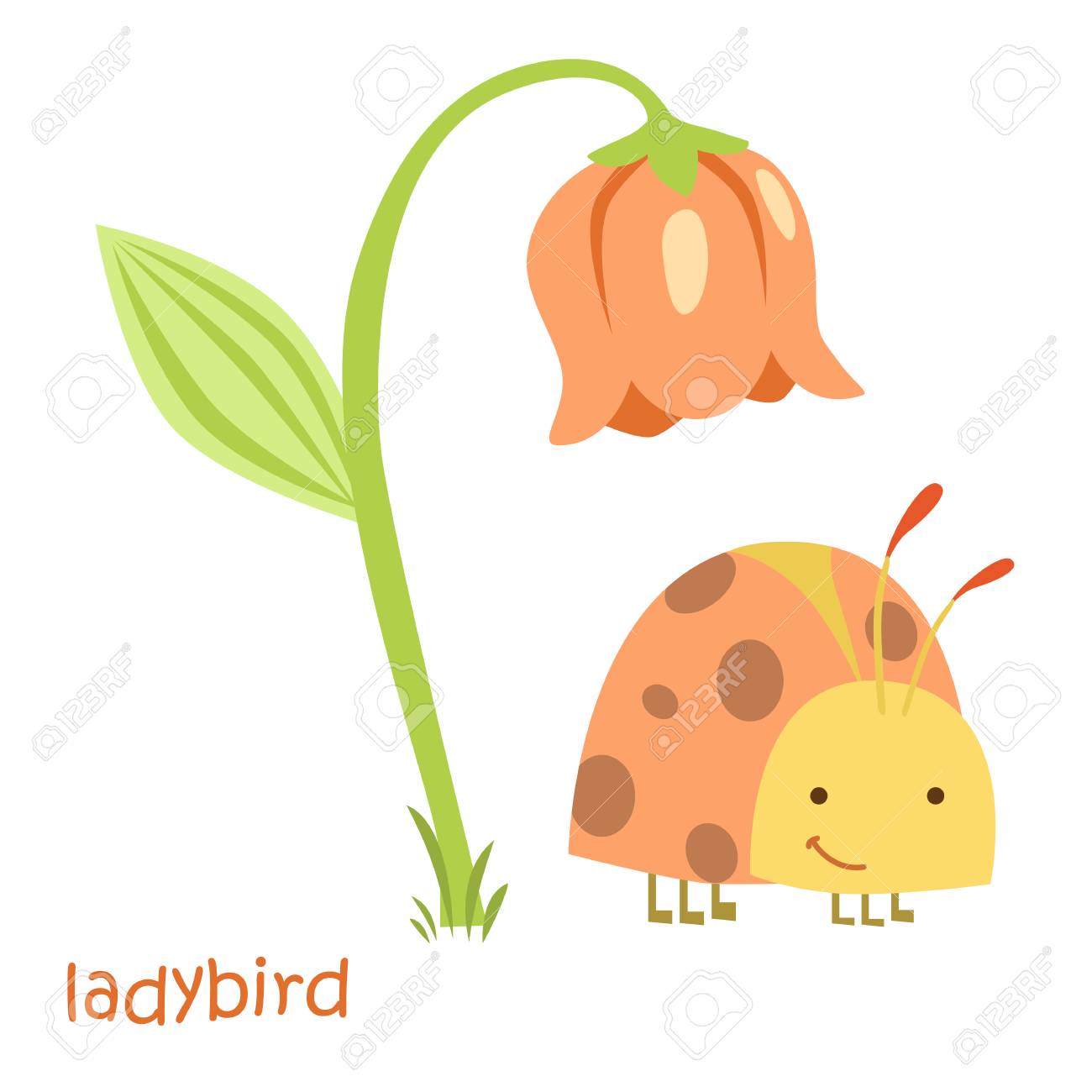 1300x1300 Ladybug Isolated. Drawing Ladybug For A Child Royalty Free