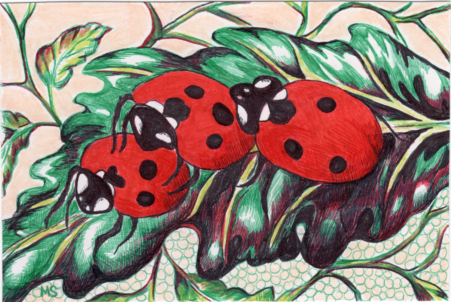 1500x1004 Popular Items For Ladybug Drawing On Etsy