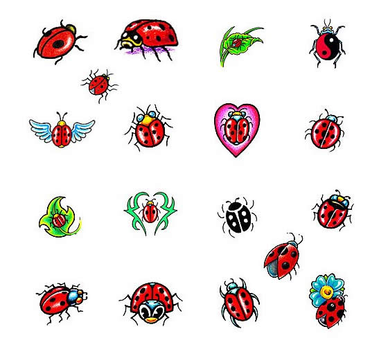 560x501 Latest Ladybug Tattoos Designs