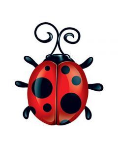240x300 Ladybug Temporary Tattoo Tattoo Idea Tattoo
