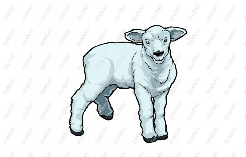 800x512 Lamb Character Clip Art