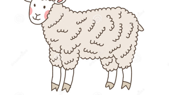 570x320 Simple Drawing Of A Sheep Funny Cartoon Sheep, Children