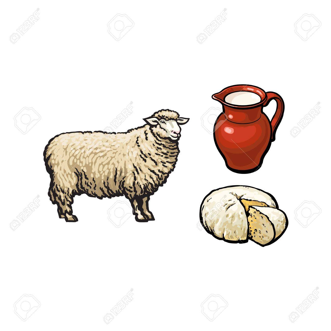 1300x1300 Vector Sketch Cartoon Style Sheep, Milk Pither And Cheese