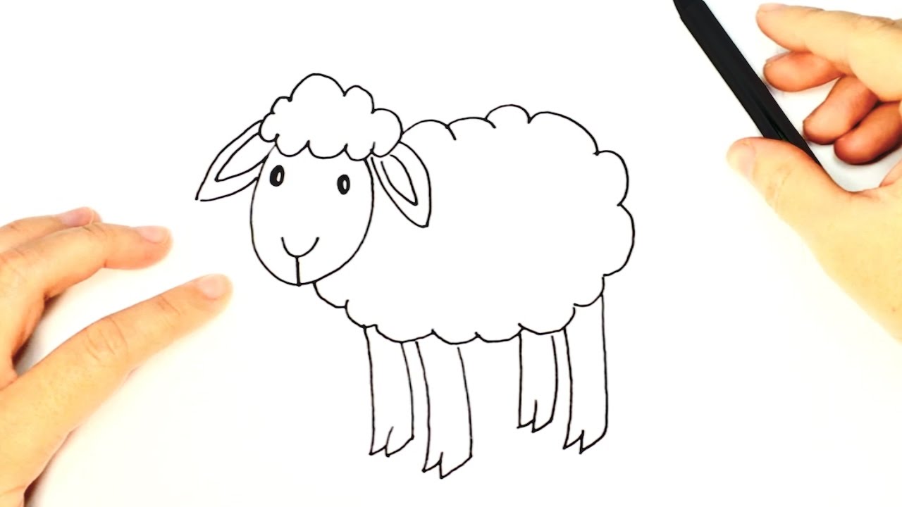 1280x720 How To Draw A Sheep For Kids Sheep Easy Draw Tutorial