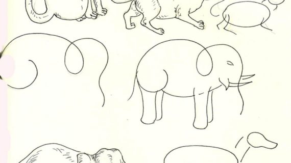 570x320 Step By Step Animal Drawings Artist In La La Land Illustration Amp