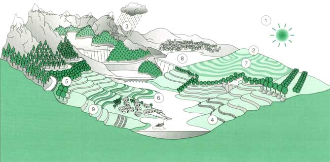 669x329 How Land Is Evaluated