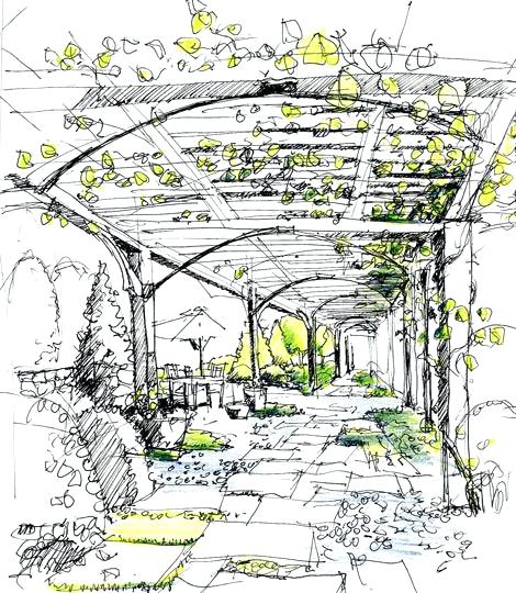 470x540 Landscape Design Sketches