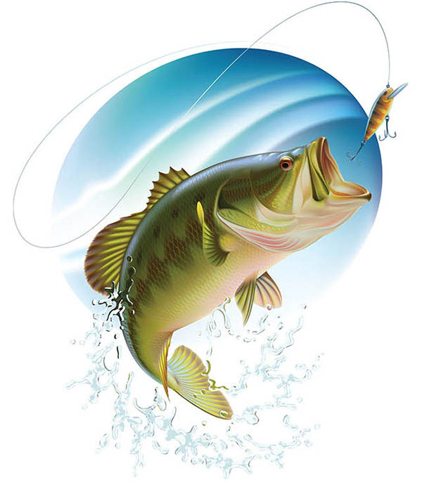 600x686 Largemouth Bass' Hunting. Vector Illustration Workflow. Pesca