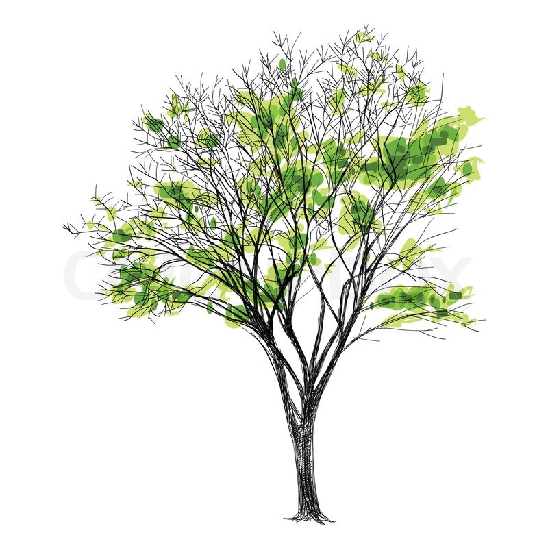 800x800 Pictures Hand Drawn Pictures Of Trees,