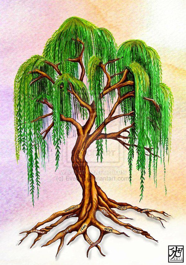 600x856 Willow Tree Tattoo Weeping Willow With Virtue Roots By ~everiris