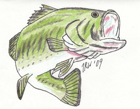 451x350 Cher Is Back On The Charts