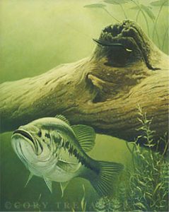 239x300 Largemouth Bass Artwork Paintings, Drawings, Sketches Amp Computer