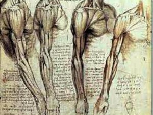 300x225 Medice, Cura Te Ipsum! How Latin And Greek Can Give You A Heads Up