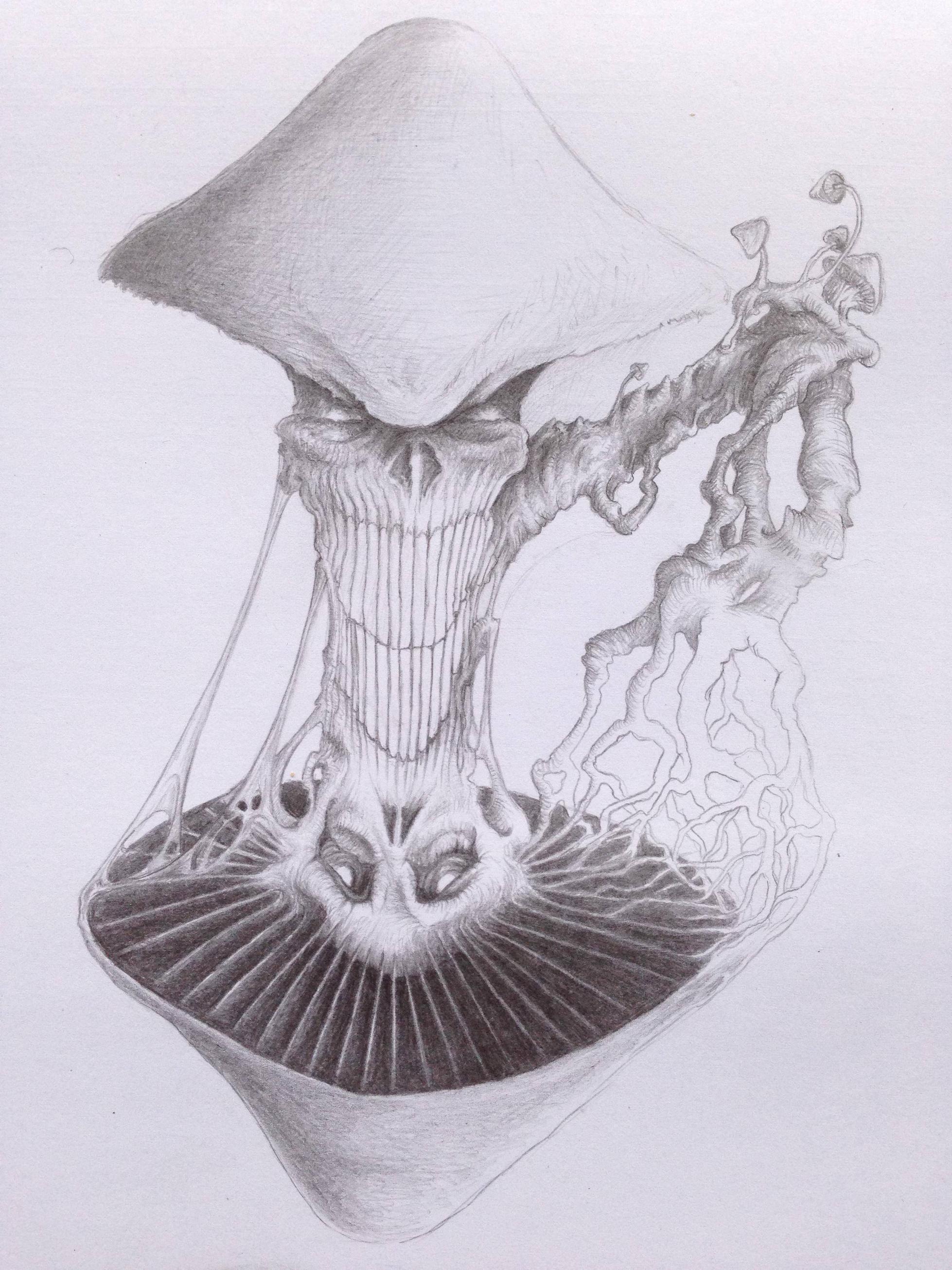 1958x2611 Dark Shrooms Laugh Now Cry Later