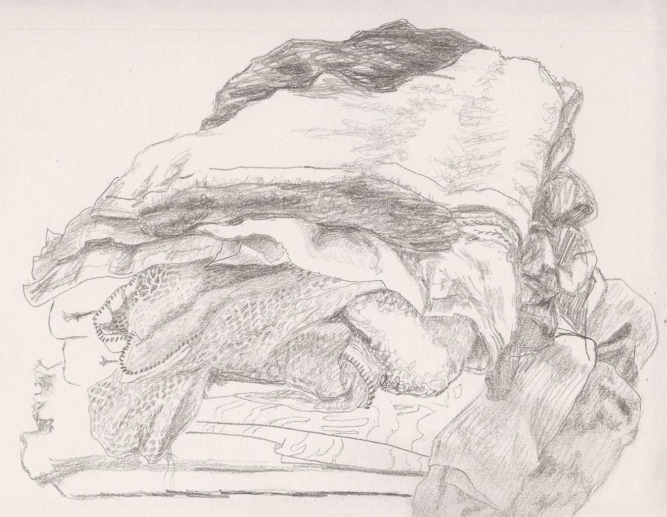 1319x1024 Sketch A Day 2011 May 1, 2011