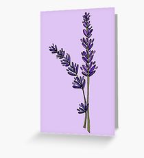210x230 Lavender Drawing Gifts Amp Merchandise Redbubble