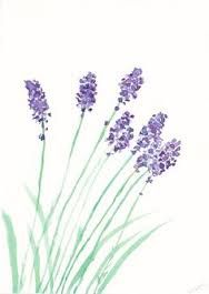 188x265 Lavender Flowers Frame Wedding Lavender, Searches
