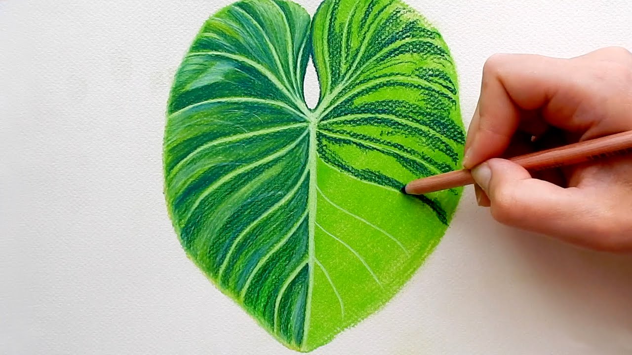 1280x720 Timelapse Drawing A Tropical Leaf With Faber Castell Soft