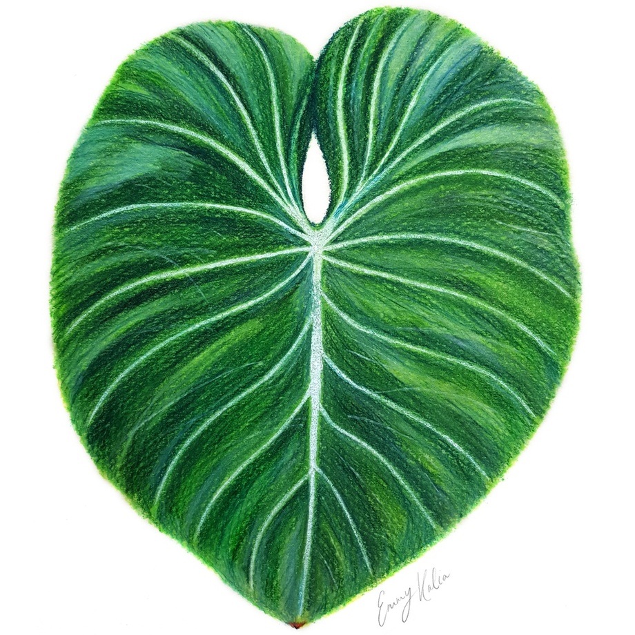 920x920 Tropical Leaf Pastel Drawing, An Art Print By Emmy Kalia