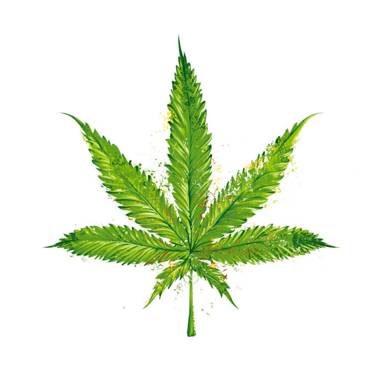 768x768 How To Easily Draw A Pot Leaf Step By Step Get High