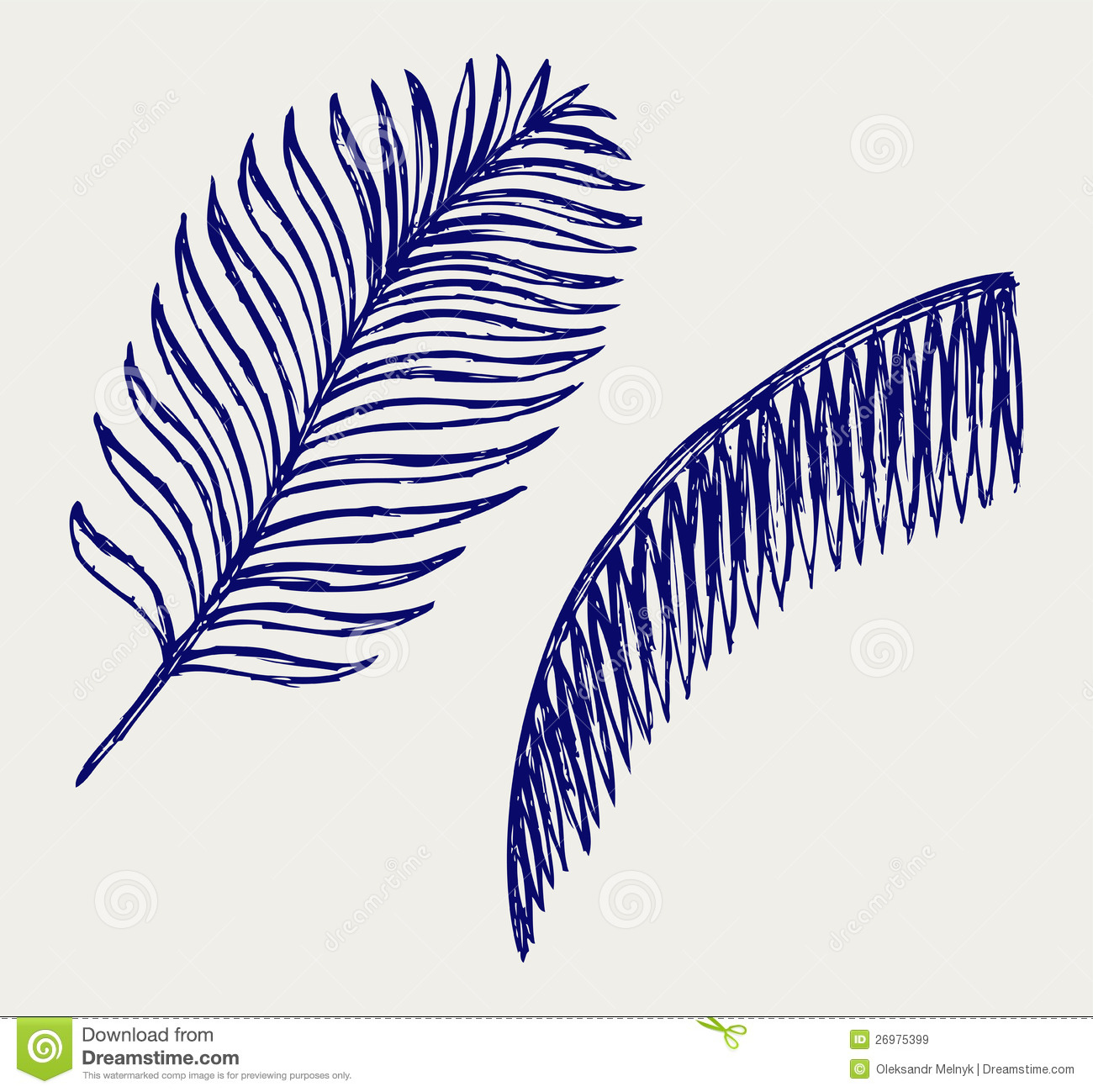 1300x1299 Drawing Palm Leaves