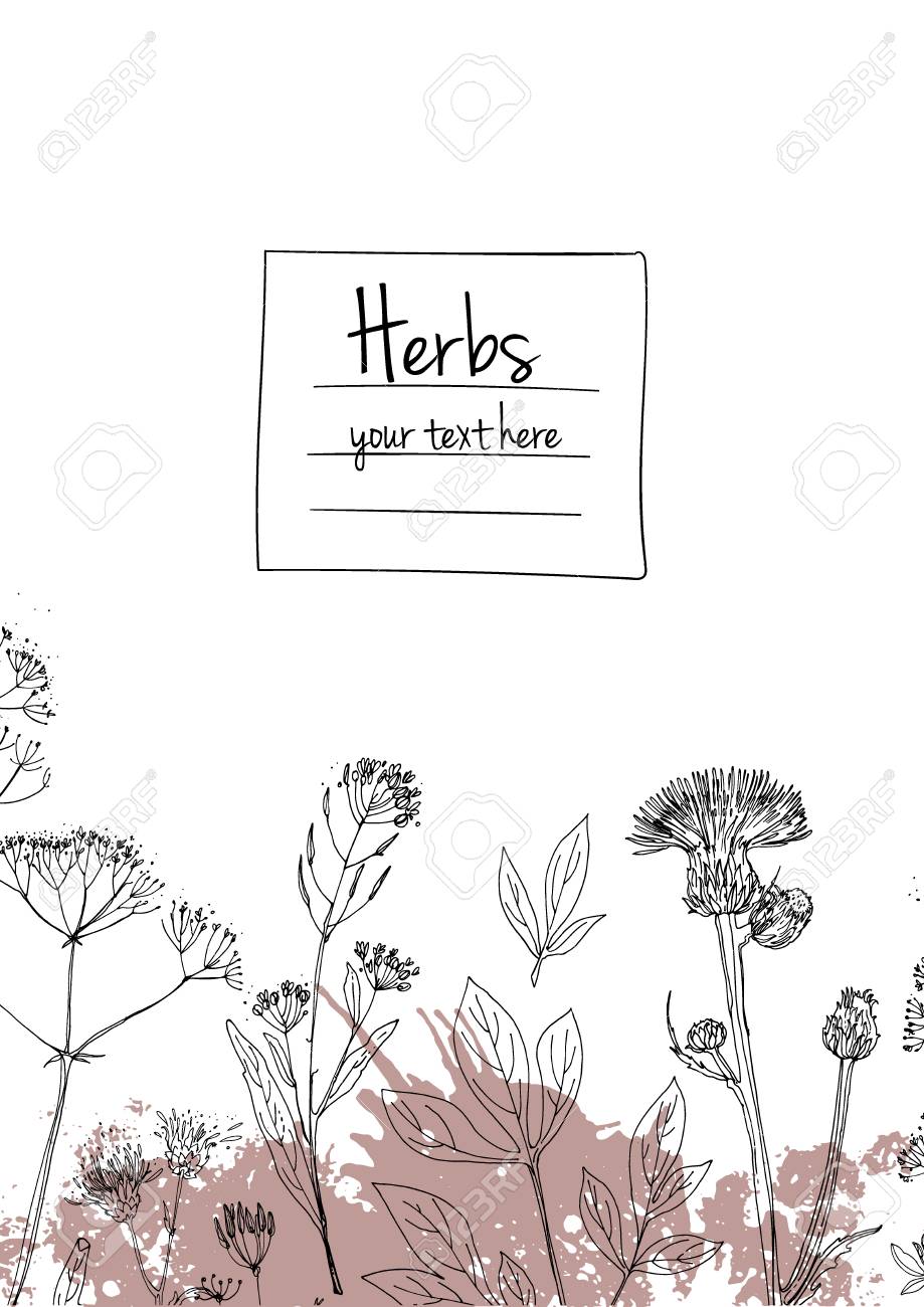 919x1300 Herbs And Flowers Painted Black Line. Space For Text. Vector