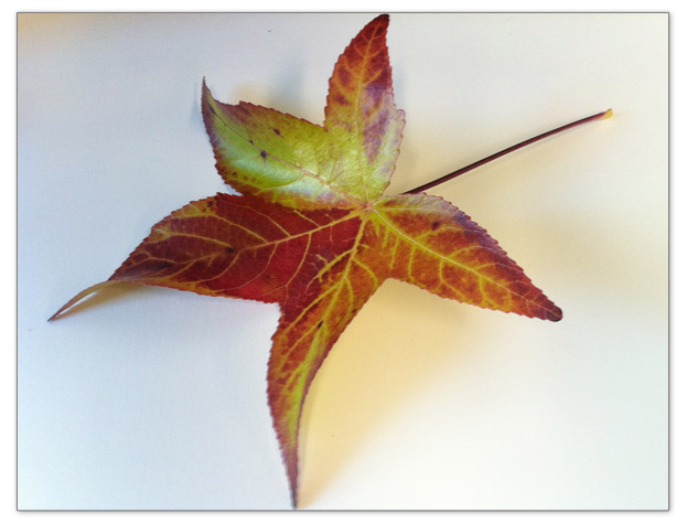 623x475 Drawing Free Ezine 5