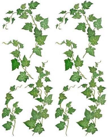 381x480 Identifying Trees And Their Leaves Vine Illustration Clipart