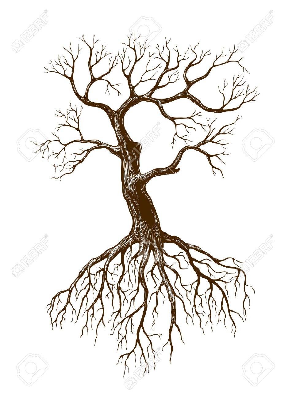 978x1300 Illustration Of Big Leafless Tree Royalty Free Cliparts, Vectors