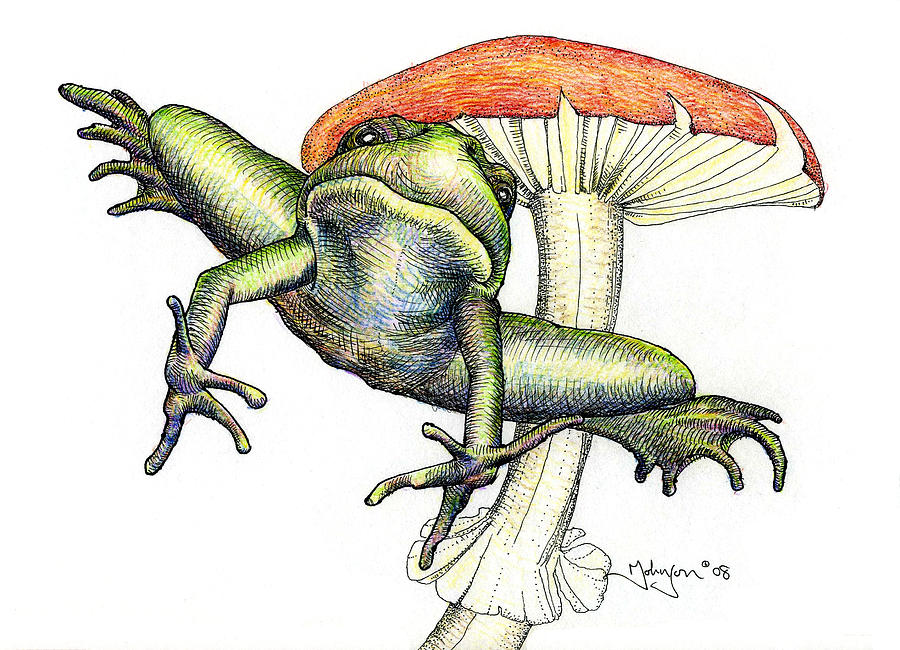 900x650 Leap Frog Drawing By Mark Johnson