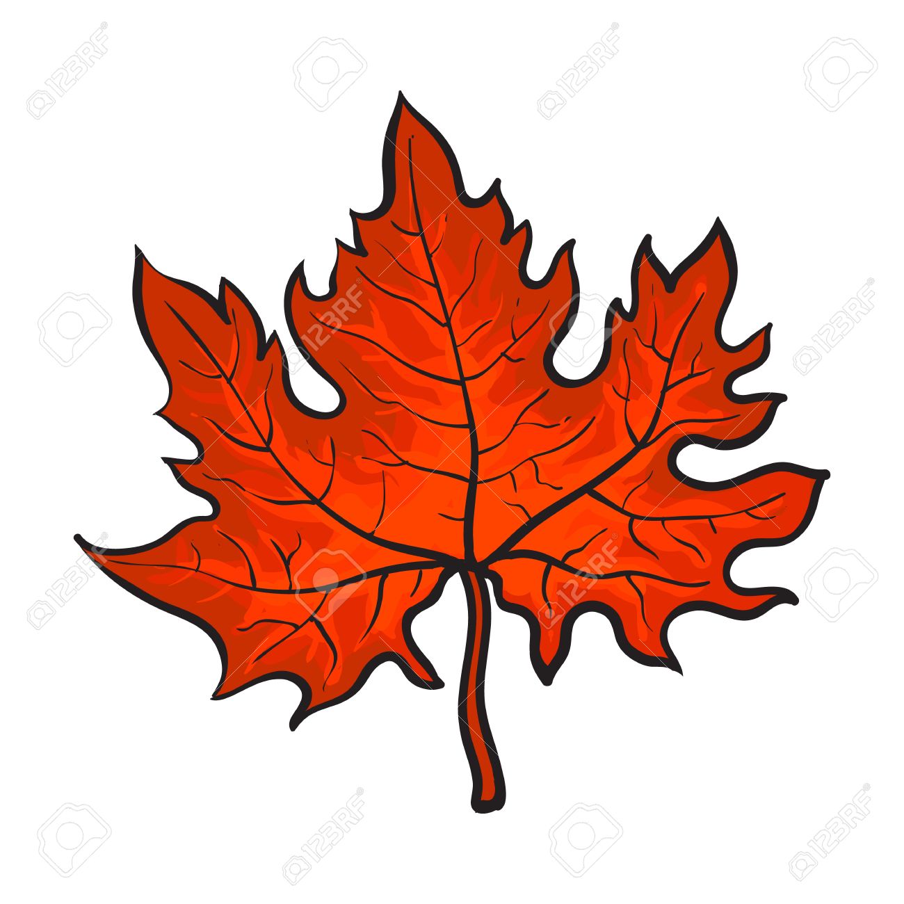 1300x1300 Beautiful Red Colored Autumn Maple Leave, Vector Illustration