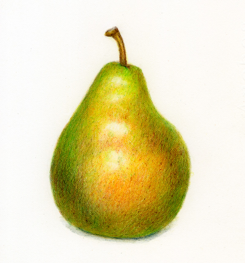 800x859 Pear Drawing An Occasional Drawing