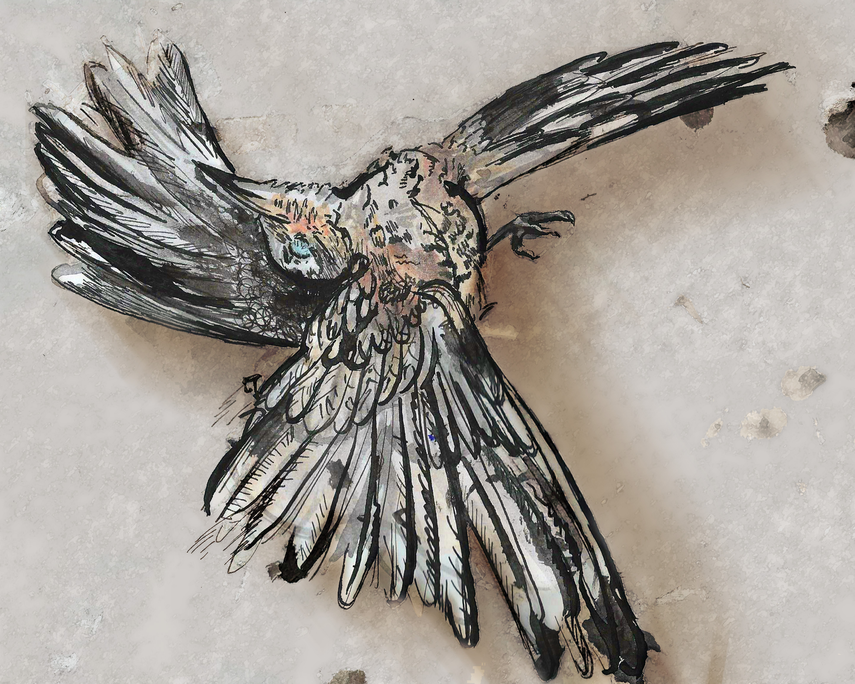 2886x2310 Animals The Art And Animation Blog Of Kaitlyn Fuchs