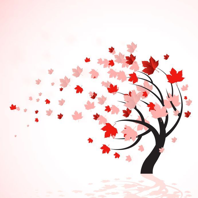 691x693 Red And Pink Leaves Blowing From A Tree Drawing. Windy Weather