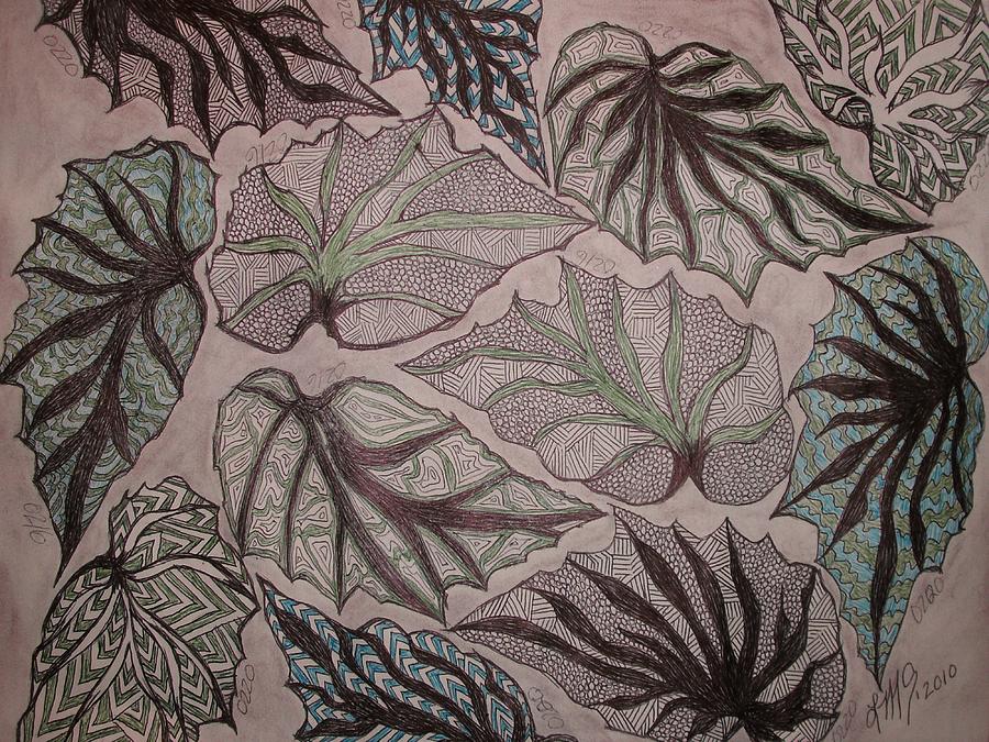 900x675 Angel Wing Begonia Leaves Drawing By Linmarie Surface