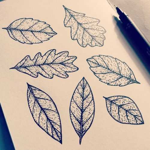 500x500 Bryony Drew A Picture