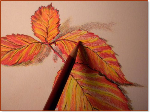 500x375 Drawing Free Ezine 6