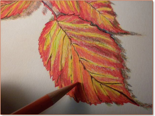 500x375 Free Ezine 6