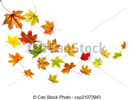 450x334 Maple Leaves Falling. Maple Autumn Falling Leaves, Vector Eps