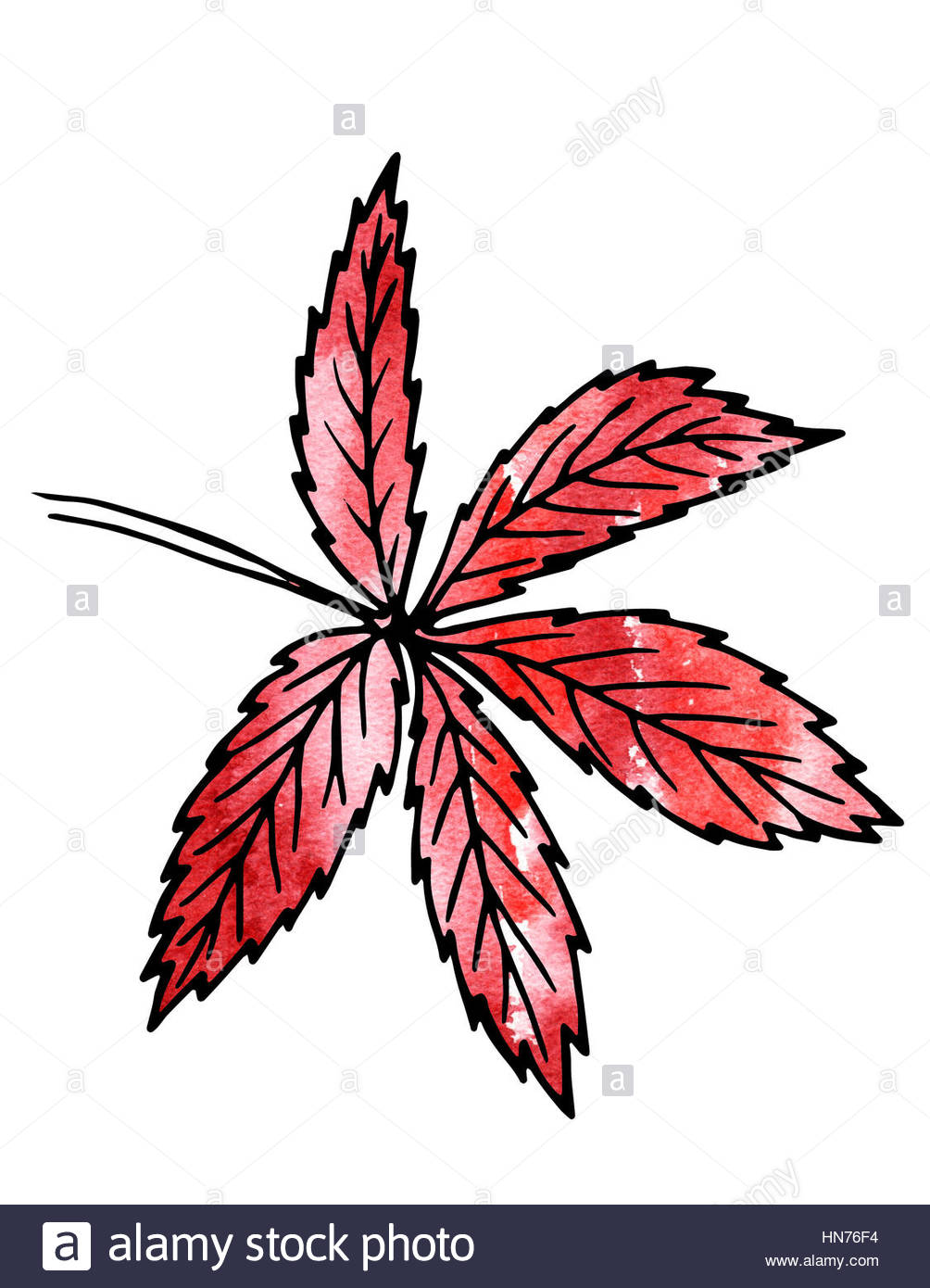 1004x1390 Red Plant Leaves. Hand Drawing And Computer Processing. For Design