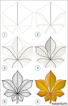 236x366 How To Draw Tree Leaves Art Tree Leaves, Leaves