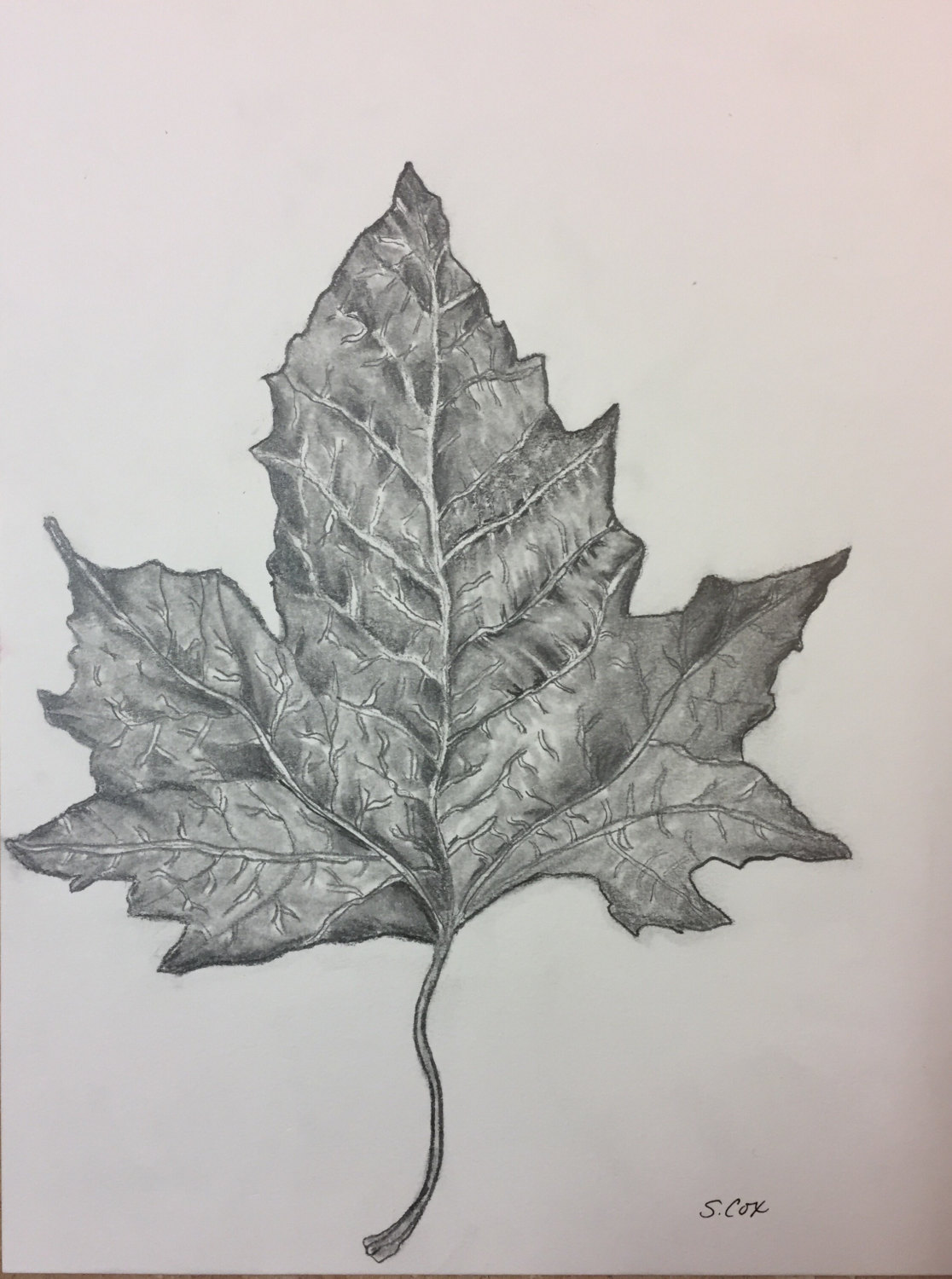 1116x1500 Pencil Sketch, Graphite Drawing, Fall Original Sketch, Nature