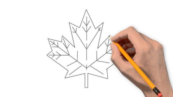 570x320 How To Draw A Leaf How To Draw Leaves Youtube