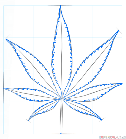 522x575 How To Draw A Pot Leaf Step By Step Drawing Tutorials