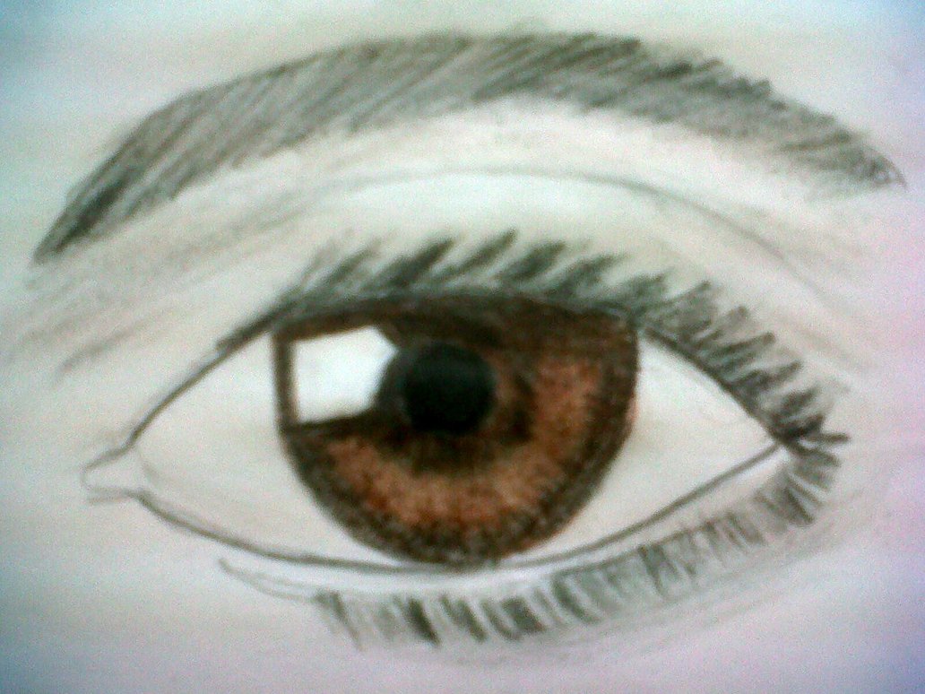 1032x774 Left Brown Eye Drawing By Rainbowrose725