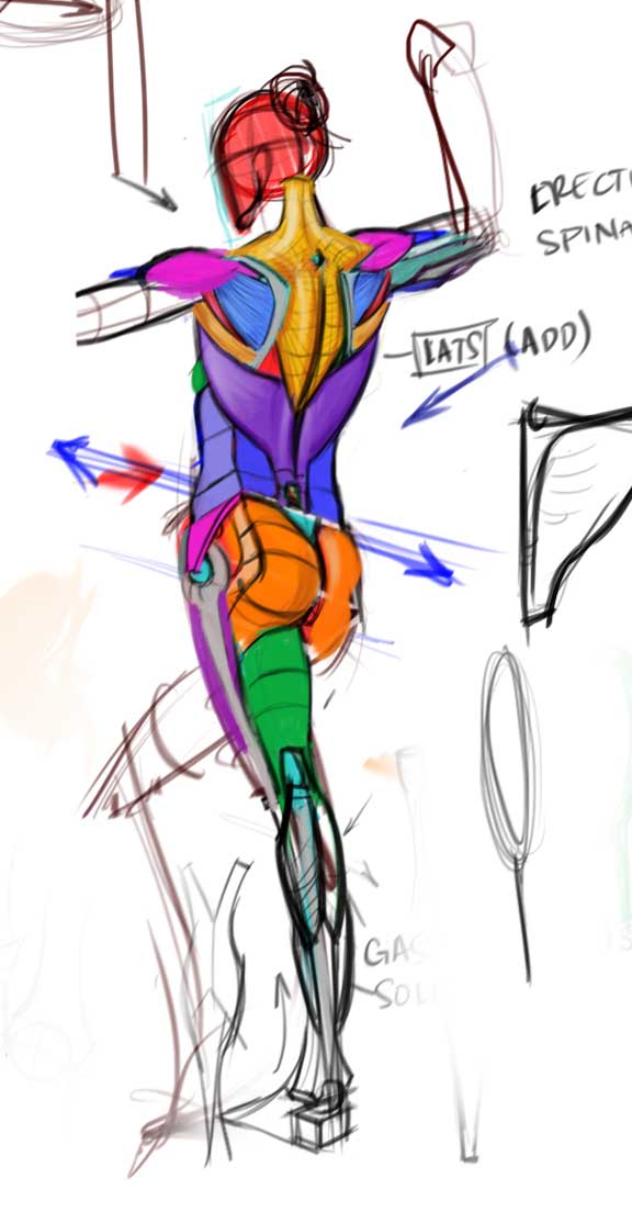 576x1114 Analytical Figure Drawing